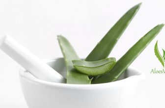 Comment réaliser un masque aloe vera pour le visage